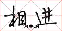 段相林相进行书怎么写