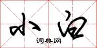 朱锡荣小白草书怎么写