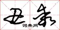 朱锡荣丑乖草书怎么写