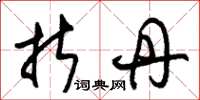 朱锡荣折丹草书怎么写