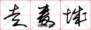 朱锡荣走麦城草书怎么写