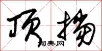 朱锡荣顶挡草书怎么写