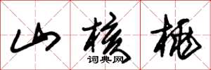 朱锡荣山核桃草书怎么写