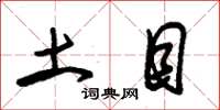 朱锡荣土目草书怎么写