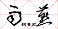 朱锡荣雨燕草书怎么写