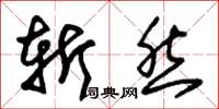 朱锡荣斩然草书怎么写
