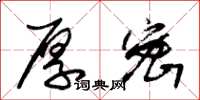 朱锡荣厚密草书怎么写