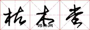 朱锡荣枯木堂草书怎么写