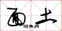 朱锡荣面土草书怎么写