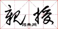 朱锡荣亲授草书怎么写