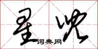 朱锡荣星儿草书怎么写