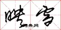 朱锡荣映雪草书怎么写