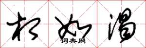 朱锡荣相如渴草书怎么写