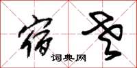 朱锡荣宿老草书怎么写