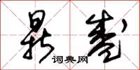 朱锡荣鼎盛草书怎么写