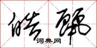 朱锡荣皓丽草书怎么写
