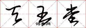 朱锡荣天王堂草书怎么写