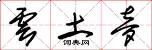 朱锡荣云土梦草书怎么写