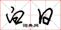 朱锡荣白日草书怎么写
