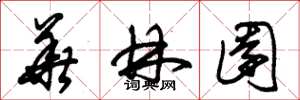 朱锡荣华林园草书怎么写