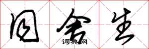 朱锡荣同舍生草书怎么写