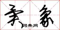 朱锡荣异象草书怎么写