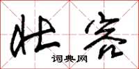 朱锡荣壮容草书怎么写