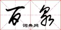 朱锡荣百泉草书怎么写
