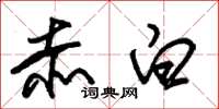 朱锡荣赤白草书怎么写
