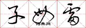 曾庆福子母雷草书怎么写