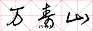曾庆福万寿山草书怎么写