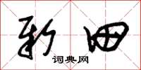 朱锡荣新田草书怎么写