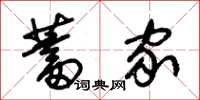朱锡荣蓄家草书怎么写