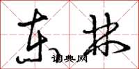 曾庆福东林草书怎么写