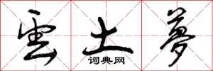 曾庆福云土梦草书怎么写