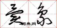 曾庆福异象草书怎么写