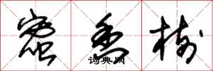 朱锡荣蜜香树草书怎么写