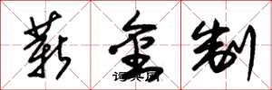 朱锡荣薪金制草书怎么写