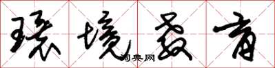 朱锡荣环境教育草书怎么写