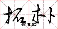 曾庆福拓朴草书怎么写