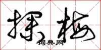 曾庆福探梅草书怎么写
