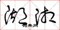 曾庆福湖湘草书怎么写