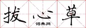 侯登峰拔心草楷书怎么写