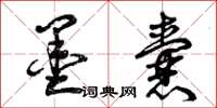 曾庆福墨囊草书怎么写