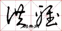 曾庆福洪雅草书怎么写