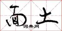 曾庆福面土草书怎么写