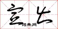 曾庆福宣出草书怎么写