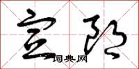 曾庆福宣朗草书怎么写