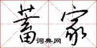 钱沛云蓄家行书怎么写