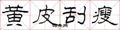 柯春海黄皮刮瘦隶书怎么写